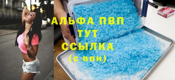 PSILOCYBIN Липки